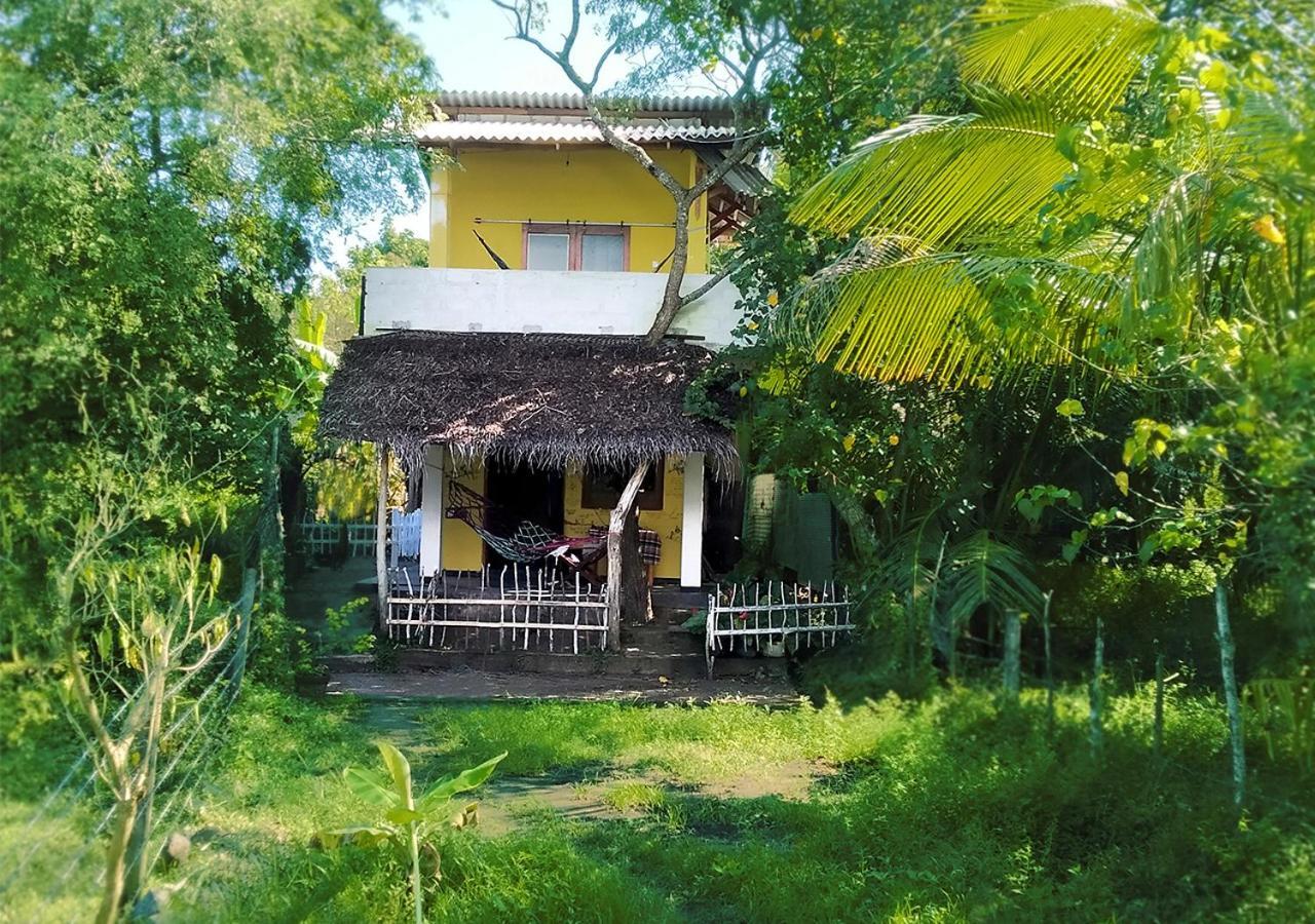 Three Little Birds Hotel Tangalle Eksteriør billede